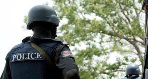 NPF debunks police officers planned strike Suicide, Police