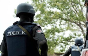 Police arrest serial phone thief in Kano Suicide, Police