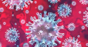 COVID-19: Nigeria records 9 deaths, 284 new infections in 24 hours