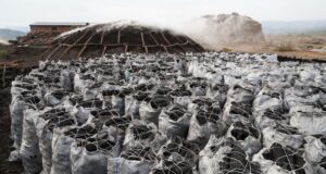 Niger Govt moves against desertification charcoal