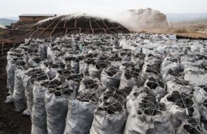 Niger Govt moves against desertification charcoal