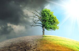 Climate change targets: OPEC harps on financing