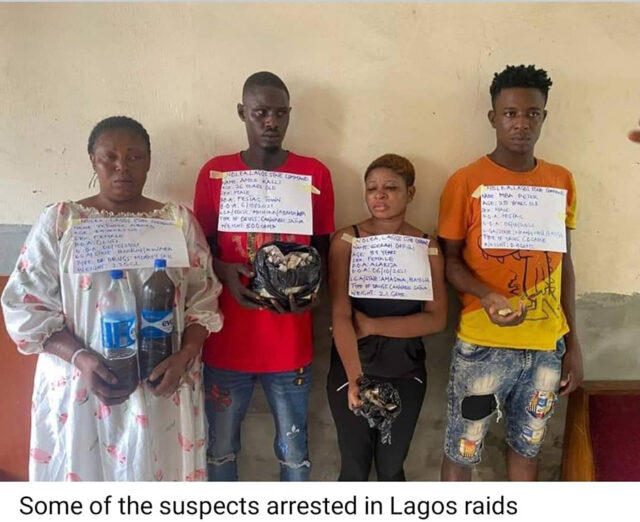 NDLEA arrests 110 drug dealers in Lagos, Benue, 7 other states