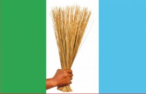 APC clears Plateau LG poll, wins 17 chairmanship, 325 councillorship seats APC