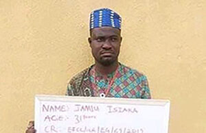 N30m fraud: Femi Adesina’s impostor to spend 28 years in prison