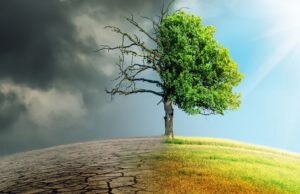 The devil in the numbers! Let’s drill down… Climate change