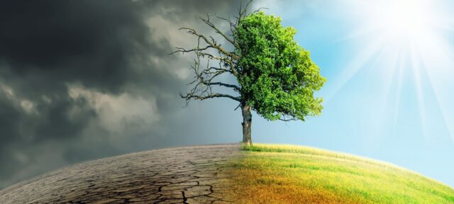 Kenya gets $150m World Bank credit for climate financing Climate change