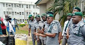 Customs intercepts N1.7bn worth of pangolin scales in Lagos