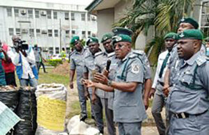 Customs intercepts N1.7bn worth of pangolin scales in Lagos
