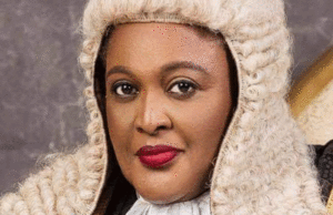 Raid on Justice Odili’s residence: Journalist, fake CSP, 12 other suspects paraded Odili