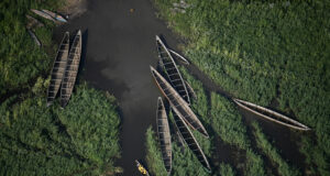 Buhari: Massive investment in Lake Chad’ll check poverty, insecurity