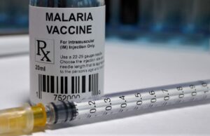 WHO endorses first malaria vaccine for children R21 malaria vaccine