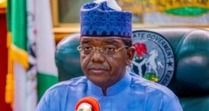 Amidst dwindling fortunes, insecurity, Zamfara reduces 2021 budget Adviser, NEF, Minister, Matawalle