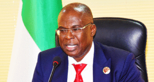 FG sacks CEOs as new bodies replace DPR, PPPRA, PEF INEC, Bayelsa APC