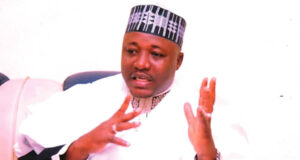 North’ll use votes, strength to produce President in 2023 – Shettima