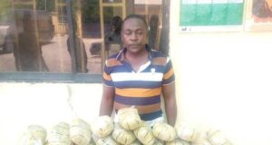 NDLEA arrests corps member, 665 drug traffickers, users