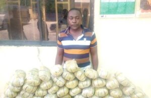 Marwa: NDLEA seizes N120bn worth of drugs, convicts 500 in 10 months
