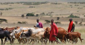 Herdsmen abduct fellow herdsmen Miyetti Allah, Herdsmen