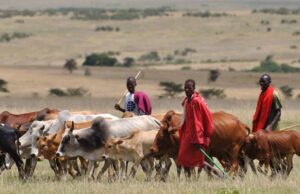 Herdsmen abduct fellow herdsmen Miyetti Allah, Herdsmen