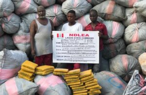 NDLEA operatives intercept 12,385kg drugs at Eko Atlantic Beach