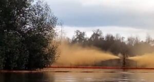 Oil spill: FG halts Aiteo operation in Bayelsa oilfield Aiteo