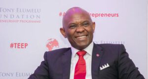 2022 TEF: $5,000 grant, mentorship, training application opens Elumelu Foundation
