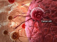 Infections linked to 2.3m cancer cases globally — Study