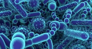 Infectious diseases remain a danger to every country – UN