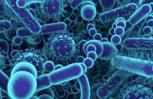 Infectious diseases remain a danger to every country – UN