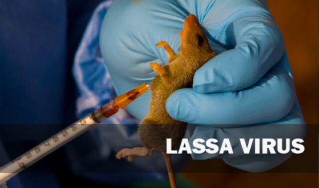 Lassa fever: 6 health workers infected as NCDC confirms 65 cases in one week NCDC, Lassa fever