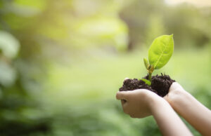 Huawei, IUCN launch Tech4Nature for nature conservation