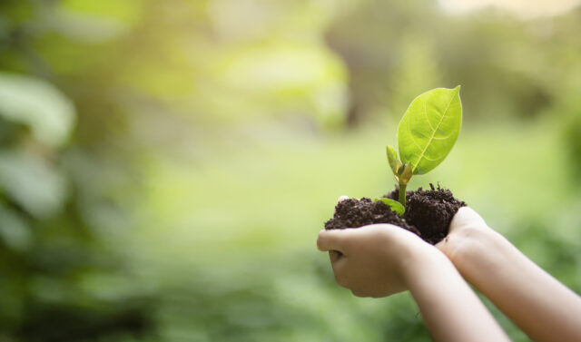 Huawei, IUCN launch Tech4Nature for nature conservation