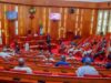 Govs get powers to appoint state police chiefs Bills, Senate