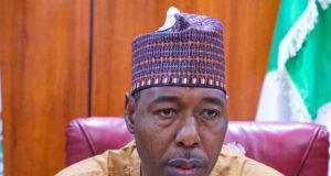 Zulum to supporters: Stop comparing my work with other governors Boko Haram ideology, French language students, Zulum