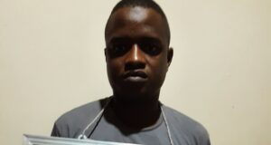 Herdsman sentenced to two years’ jail for stealing three cows cow thief