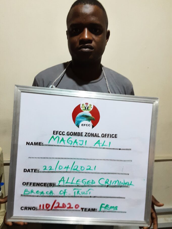 Magaji Ali cow thief