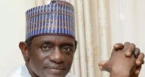 Yobe govt plans contributory healthcare scheme for artisans, others Healthcare, Buni