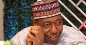 Repentant terrorists are doing well – Zulum Zulum