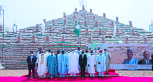 Buhari inaugurates 13 sky-high pyramids of rice in Abuja Rice pyramid