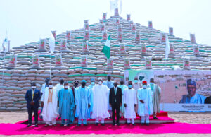 Buhari inaugurates 13 sky-high pyramids of rice in Abuja Rice pyramid