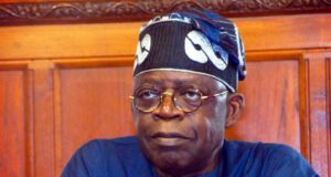 2023: Miyetti Allah denies endorsing Tinubu for Presidency SANs, Miyetti Allah, NNPP candidates, Court, PDP, Nwajiuba, North-West APC, Yoruba Nollywood actors, Academic certificates, Tinubu Support Group, Ganduje, Tinubu, Terror victim