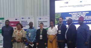 Julius Berger diversifies, goes into cashew production Julius Berger