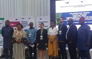 Julius Berger diversifies, goes into cashew production Julius Berger