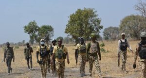 Troops kill scores of terrorists in Borno Niger, Troops