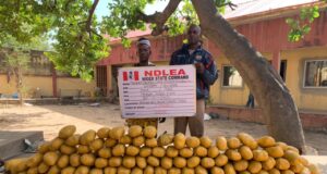 Ex-DPO, traffickers arrested for drugs Ex-DPO and accomplice