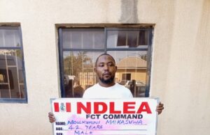 NDLEA intercepts counterfeit $4.7m cash, moves suspect to EFCC Counterfeit
