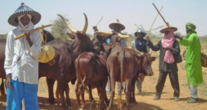 Miyetti Allah president resigns, cites personal reasons