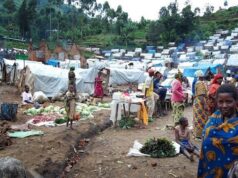 Refugee returns double as Nigeria’s IDP crisis deepens IDPs, Borno IDP camp