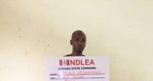 NDLEA intercepts drugs, arrests 41 suspects drug suspect