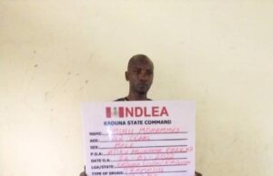 NDLEA intercepts drugs, arrests 41 suspects drug suspect